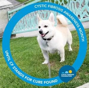 Meet your Posher, Janet